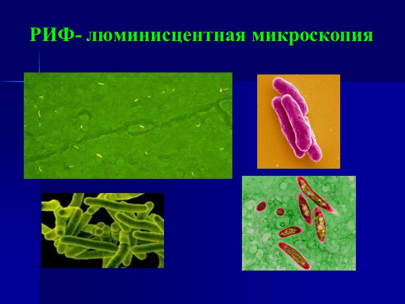 РИФ- люминисцентная микроскопия